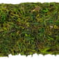 Northlight Seasonal Artificial Reindeer Moss Square Spring Wreath - image 4