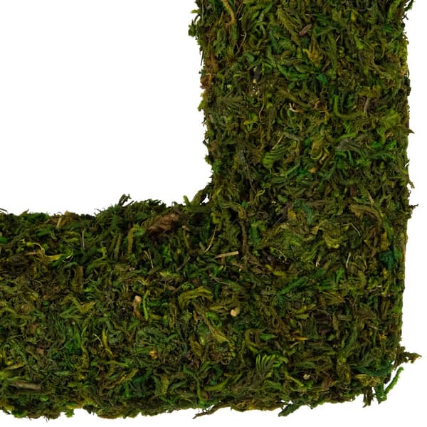 Northlight Seasonal Artificial Reindeer Moss Square Spring Wreath