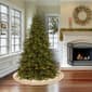 National Tree 52in. Gold Fringe Detail Tree Skirt - image 2