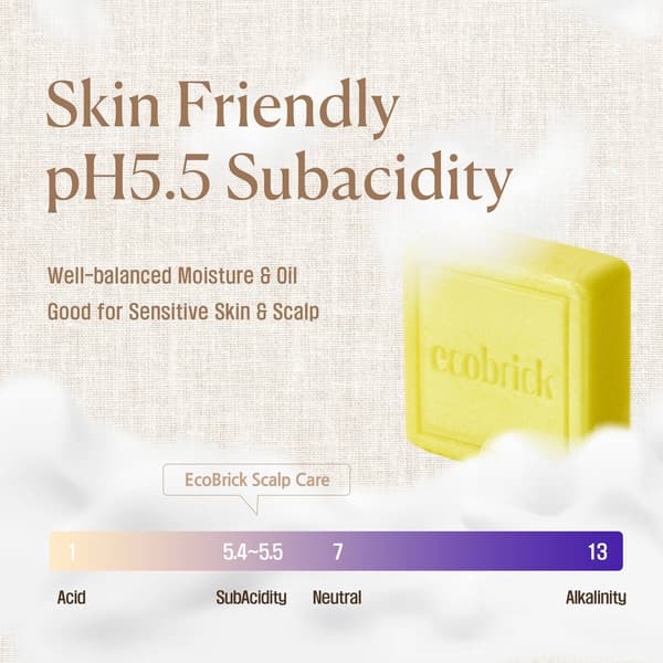 EcoBrick Mild Acidic Damaged Hair Care Shampoo Bar
