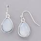 Design Collection Opal Drop Crystal Earrings - image 1