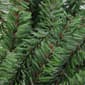 Northlight Seasonal 16" Mini Pine Artificial Christmas Wreath - image 2
