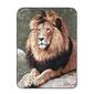 Shavel Home Products Hi Pile Lion Oversized Luxury Throw - image 1