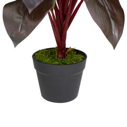 Northlight Real Touch™ Red and Green Artificial Dracaena Potted