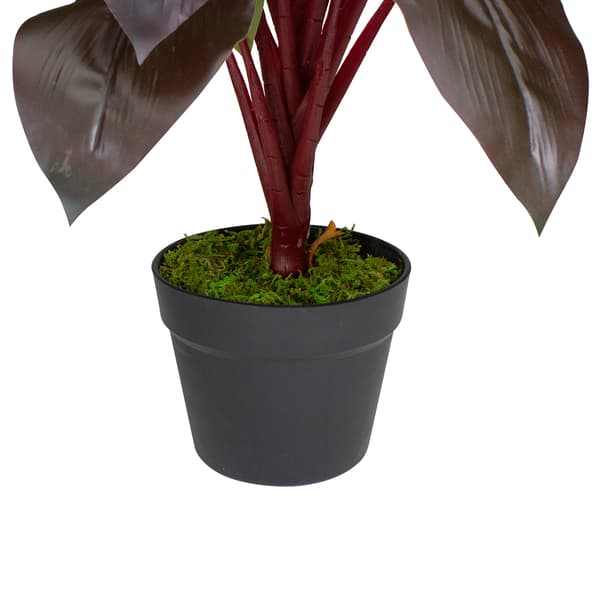 Northlight Real Touch™ Red and Green Artificial Dracaena Potted