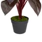 Northlight Real Touch™ Red and Green Artificial Dracaena Potted - image 3