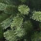 Puleo International 6.5ft. Pre-Lit Artificial Fir Christmas Tree - image 5