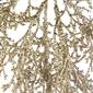 Northlight Seasonal 24in. Golden Glittered Pine Christmas Spray - image 5