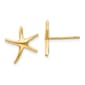 Gold Classics(tm) 14kt. Starfish Stud Earrings - image 1