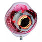 Spin Master™ Megalodon Hatching Egg - image 6