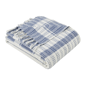 Palm Aire Charleston Blue/White Stripe Cotton Throw Blanket - image 2