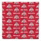NCAA Ohio State Buckeyes Bed In A Bag Set - image 2