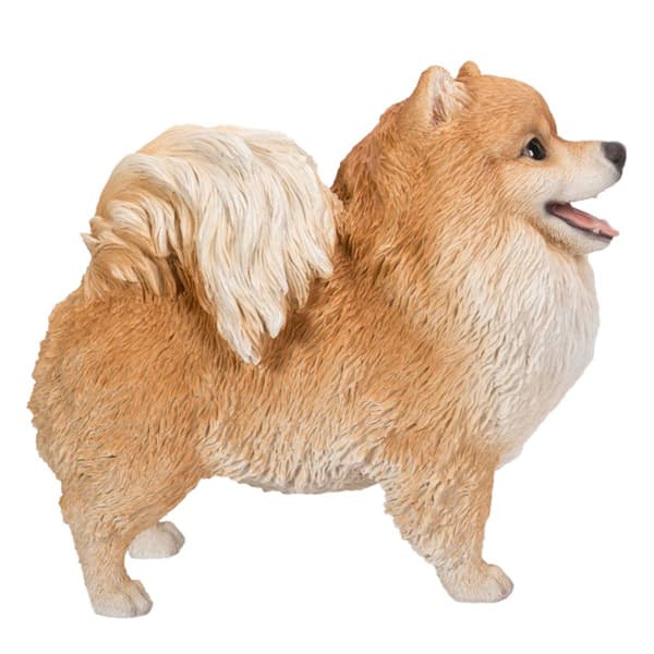 Hi-Line Gift Medium Standing Pomeranian Garden Statue