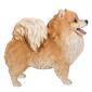 Hi-Line Gift Medium Standing Pomeranian Garden Statue - image 4