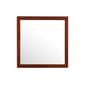 Passion Furniture Classic Square Dresser Mirror - 41x41 - image 1