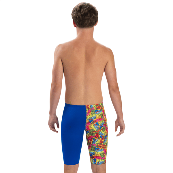 Dolfin Mens Print Jammer