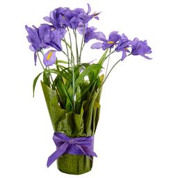 Life-Like Artificial Iris