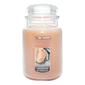 Yankee Candle&#40;R&#41; Tangerine Vanilla 22oz. Jar Candle - image 1