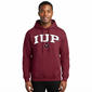 Mens Indiana University Of Pennsylvania Mascot One Hoodie - image 1