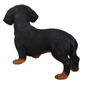 Hi-Line Gift Standing Dachshund Garden Statue - image 2