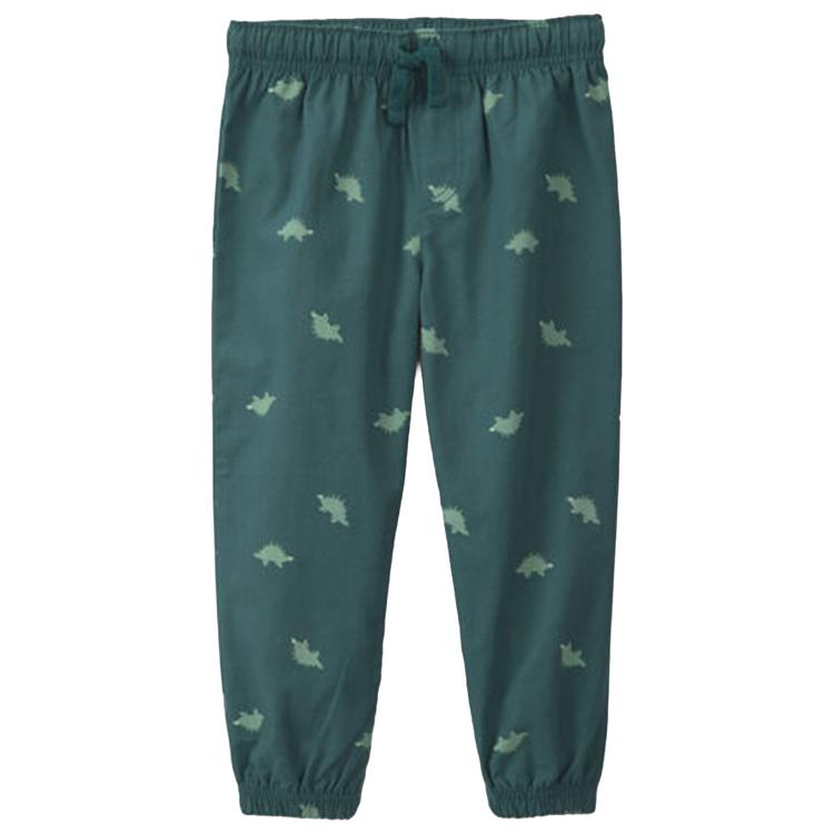 Toddler Boy Carter''s® 2pc. Dinosaur Fleece Hooded Top &amp; Pant Sets
