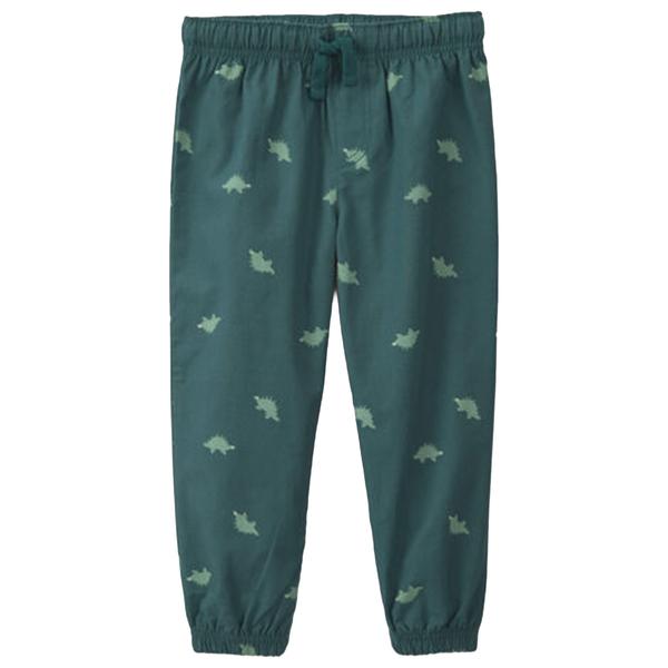 Toddler Boy Carter''s® 2pc. Dinosaur Fleece Hooded Top & Pant Sets