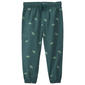 Toddler Boy Carter''s® 2pc. Dinosaur Fleece Hooded Top & Pant Sets - image 3