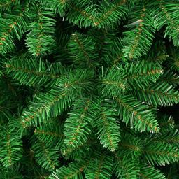 National Tree 6ft. Rowan Pencil Slim Tree