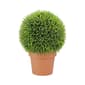Northlight 18in. Potted Artificial Pine Ball Topiary Plant - image 1