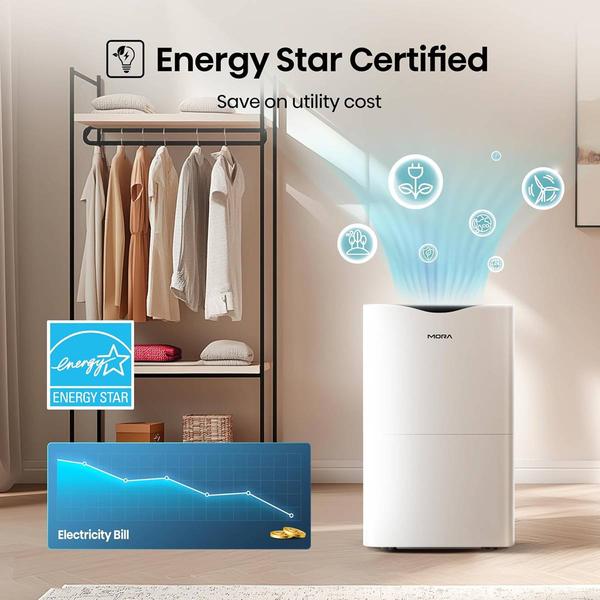 Hisense Mora 50 Pint Dehumidifier