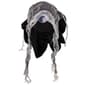 Northlight Seasonal 10in. Spooky Skeleton 3D Window Decoration - image 5
