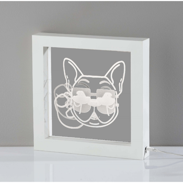 Simplee Adesso Cool Dog Video Light Box