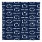 NCAA Penn State Nittany Lions Bed In A Bag Set - image 2