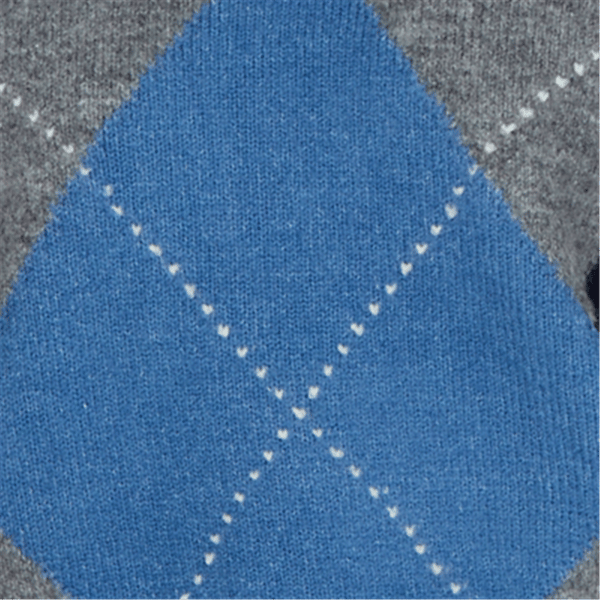 Petite Hearts of Palm Autumn Breeze V Neck Argyle Sweater