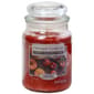 Yankee Candle&#40;R&#41; 19oz. Pumpkin Apple Harvest - image 1