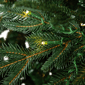 Northlight Real Touch™ 7.5ft. Pre-Lit Ashburn Pine Christmas Tree - image 6