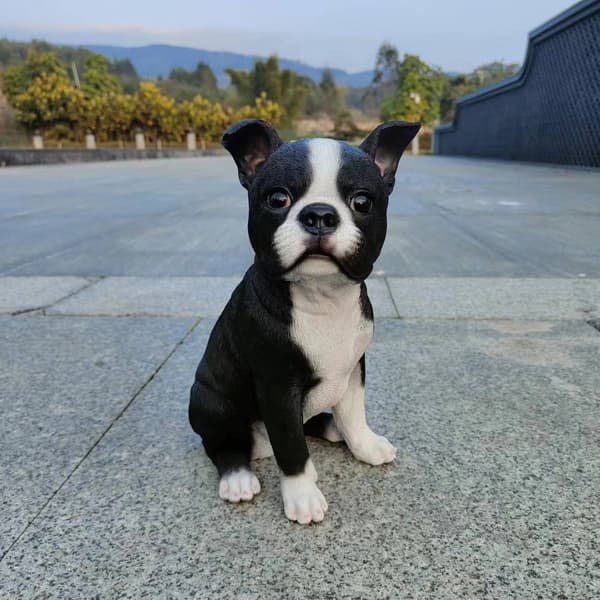 Hi-Line Gift Boston Terrier Garden Statue