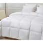 Kathy Ireland Nano-Touch Extra Warmth Down Fiber Comforter - image 2