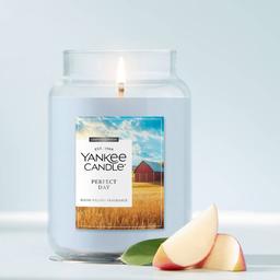 Yankee Candle(R) Perfect Day 22oz. Large Jar Candle