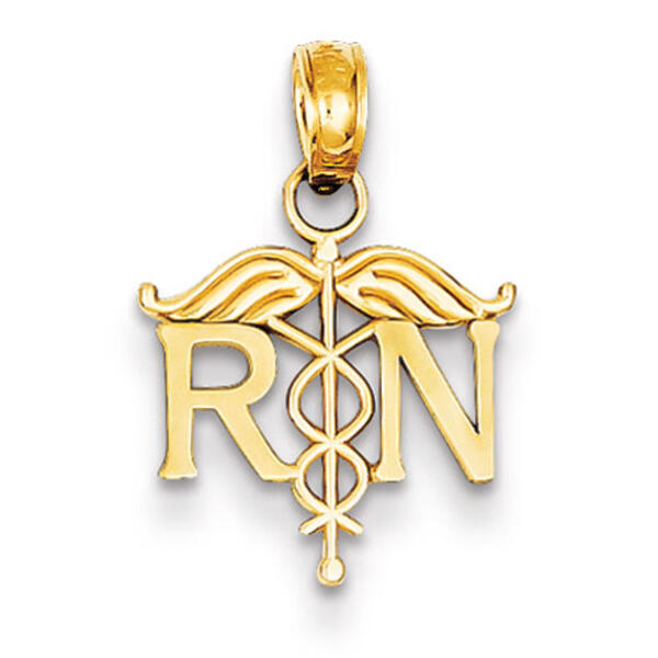 Gold Classics&#40;tm&#41; 14k. Registered Nurse Pendant - image 