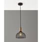 Adesso Dale Small Pendant Light - image 2