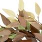 Northlight Seasonal 22in. Neutral Fall Colored Leaves Wreath - image 5