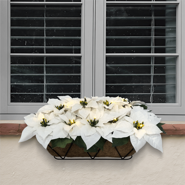 Puleo International Pre-Lit White Poinsettia Window Box Décor