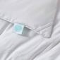 Martha Stewart All Season 233TC Cotton Blend Goose Down Comforter - image 4