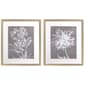 Propac Images&#40;R&#41; 2pc. Botanical Stamp Wall Art - image 1