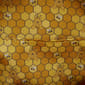 Loungefly Winnie the Pooh Bees & Flowers Mini Backpack - image 4