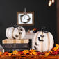 National Tree 6in. Halloween Crawling Spiders Pumpkin Décor - image 3