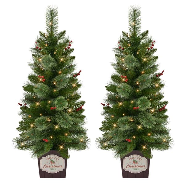 Puleo International 2pc. Cashmere Pre-Lit Potted Christmas Trees
