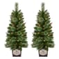 Puleo International 2pc. Cashmere Pre-Lit Potted Christmas Trees - image 6