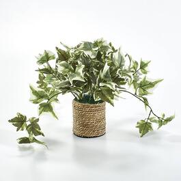 Life Like Artificial English Ivy Plant